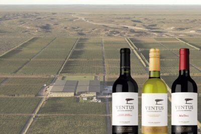 Tres vinos Ventus: descorchar la Patagonia