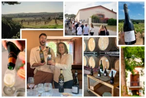 Lee más sobre el artículo Paseo entre burbujas: mi visita a la bodega Cavas Hill